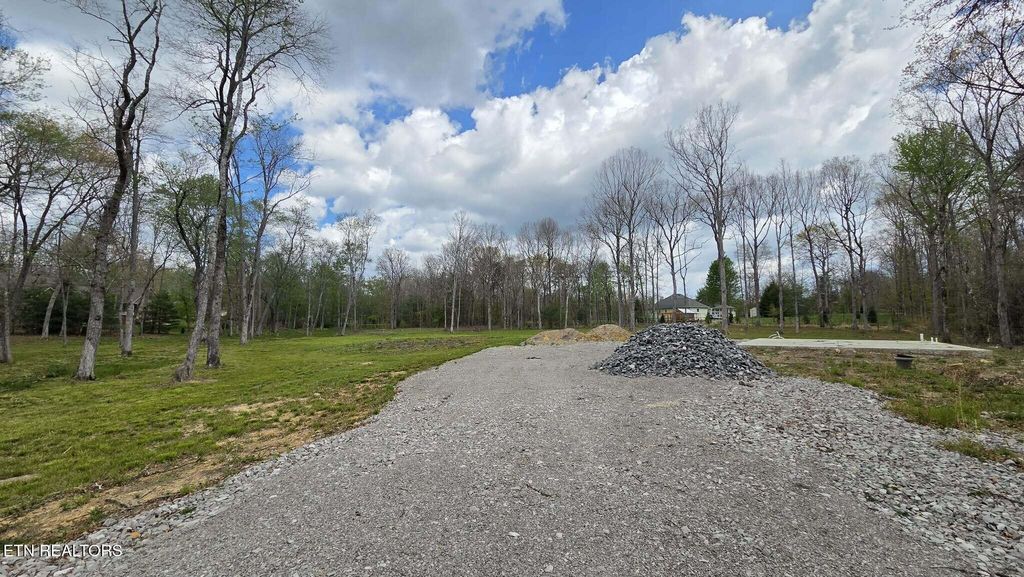 Photo of 361 Carrie Drive, Crossville, TN 38572 (MLS # 1337334)