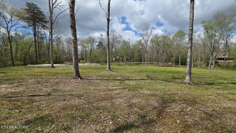 Photo of 361 Carrie Drive, Crossville, TN 38572 (MLS # 1337334)