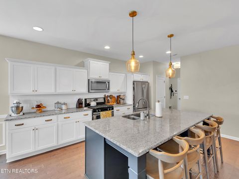 Tiny photo for 1307 Mary Katherine Drive, Maryville, TN 37804 (MLS # 1317597)