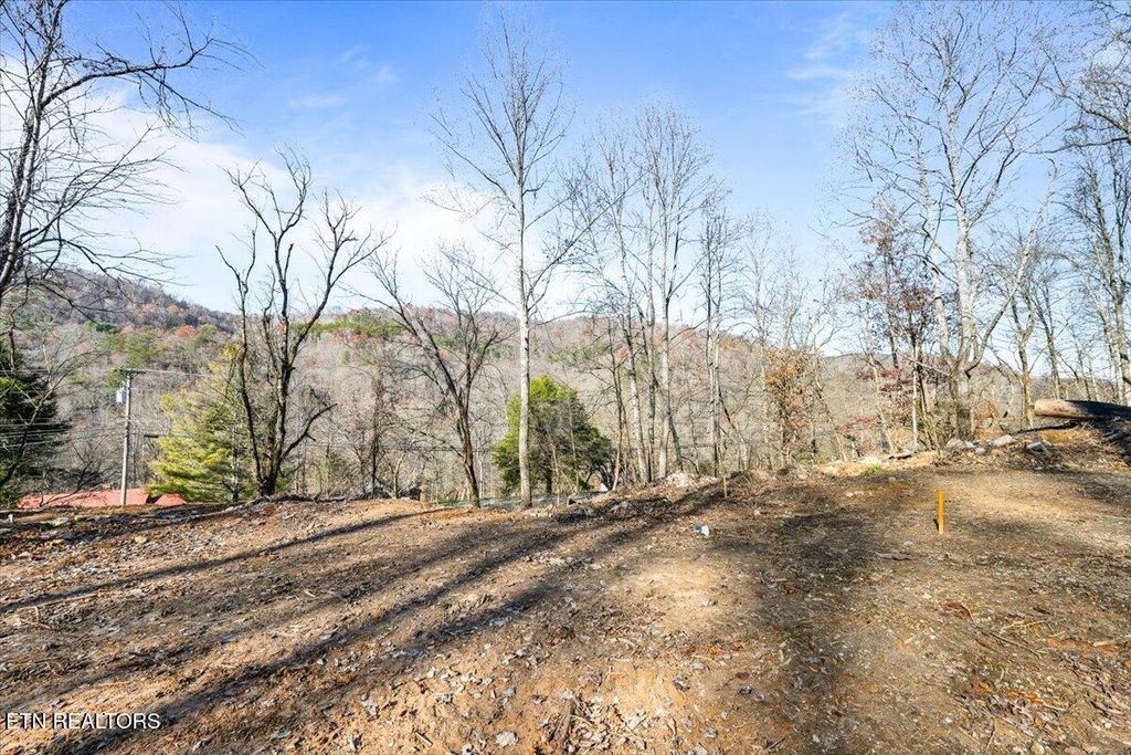 Photo of 1224 US 25W, LaFollette, TN 37766 (MLS # 1322185)