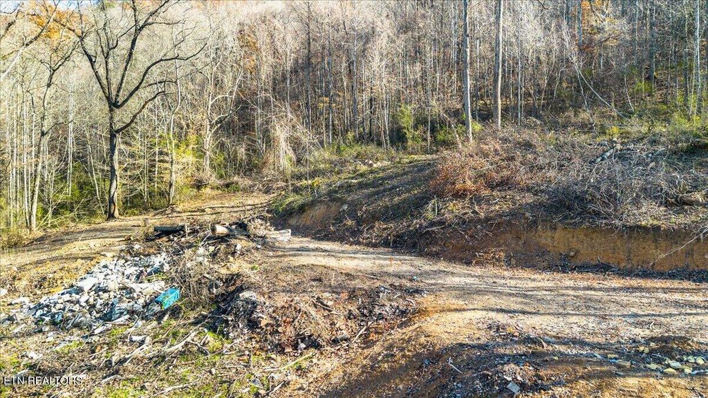 Photo of 1224 US 25W, LaFollette, TN 37766 (MLS # 1322185)