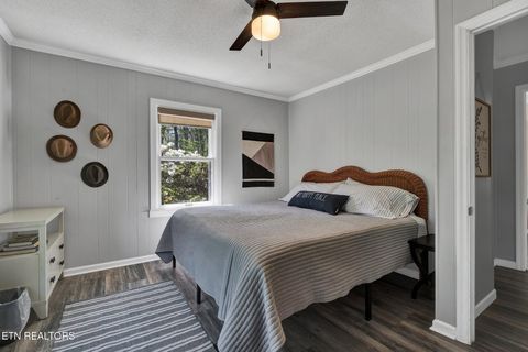 Tiny photo for 539 Apollo Drive, Spring City, TN 37381 (MLS # 1332273)