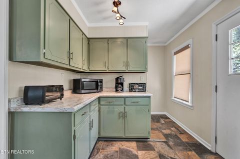 Tiny photo for 539 Apollo Drive, Spring City, TN 37381 (MLS # 1332273)