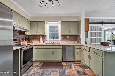 Tiny photo for 539 Apollo Drive, Spring City, TN 37381 (MLS # 1332273)