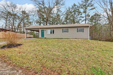 Photo of 259 Snow Hill Rd, Oakdale, TN 37829 (MLS # 1336476)