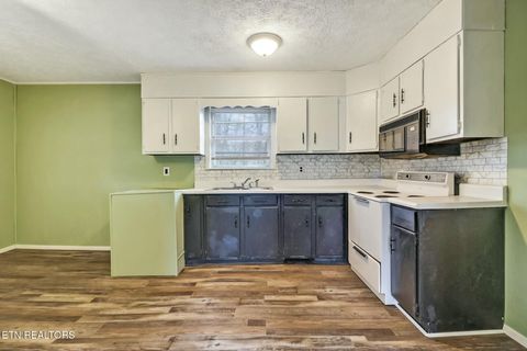 Tiny photo for 259 Snow Hill Rd, Oakdale, TN 37829 (MLS # 1336476)