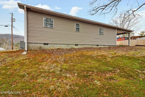 Tiny photo for 259 Snow Hill Rd, Oakdale, TN 37829 (MLS # 1336476)
