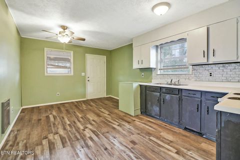 Tiny photo for 259 Snow Hill Rd, Oakdale, TN 37829 (MLS # 1336476)