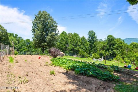 Tiny photo for 177 Marine Lane, Maynardville, TN 37807 (MLS # 1347002)