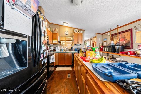 Tiny photo for 177 Marine Lane, Maynardville, TN 37807 (MLS # 1347002)