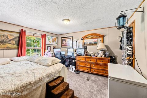 Tiny photo for 177 Marine Lane, Maynardville, TN 37807 (MLS # 1347002)