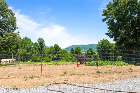 Tiny photo for 177 Marine Lane, Maynardville, TN 37807 (MLS # 1347002)