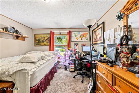Tiny photo for 177 Marine Lane, Maynardville, TN 37807 (MLS # 1347002)