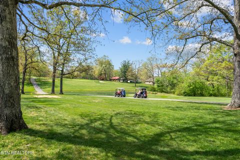 Tiny photo for 3008 Seminole Loop, Crossville, TN 38572 (MLS # 1337939)