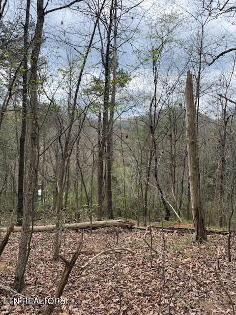 Photo of 151 Hennessey Mtn / Brisk Way, Cosby, TN 37722 (MLS # 1334457)