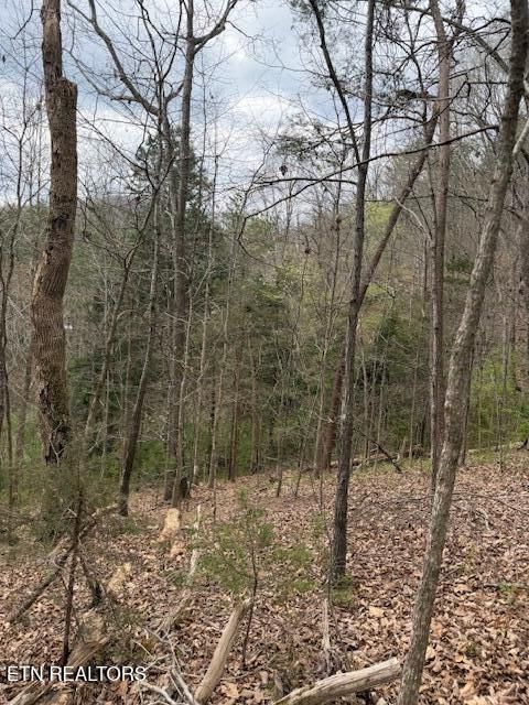 Tiny photo for 151 Hennessey Mtn / Brisk Way, Cosby, TN 37722 (MLS # 1334457)