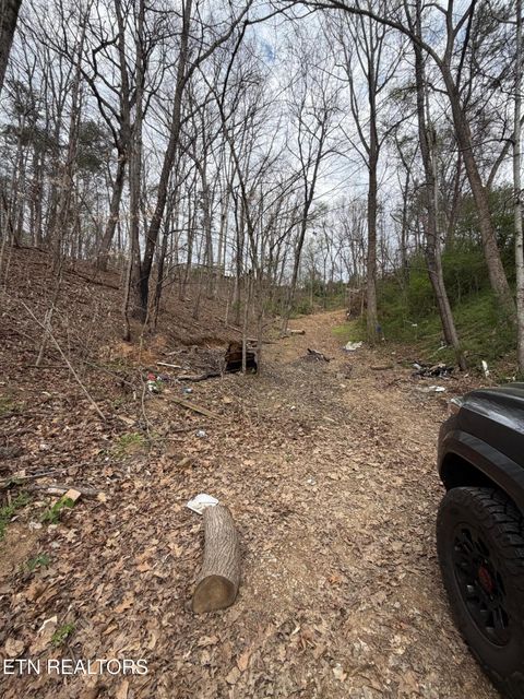 Tiny photo for 151 Hennessey Mtn / Brisk Way, Cosby, TN 37722 (MLS # 1334457)