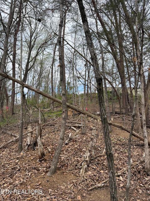 Tiny photo for 151 Hennessey Mtn / Brisk Way, Cosby, TN 37722 (MLS # 1334457)
