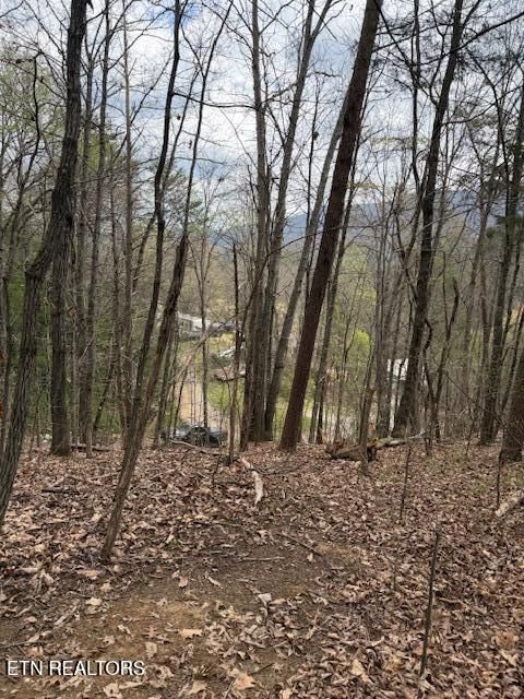 Tiny photo for 151 Hennessey Mtn / Brisk Way, Cosby, TN 37722 (MLS # 1334457)