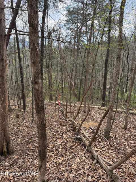 Tiny photo for 151 Hennessey Mtn / Brisk Way, Cosby, TN 37722 (MLS # 1334457)