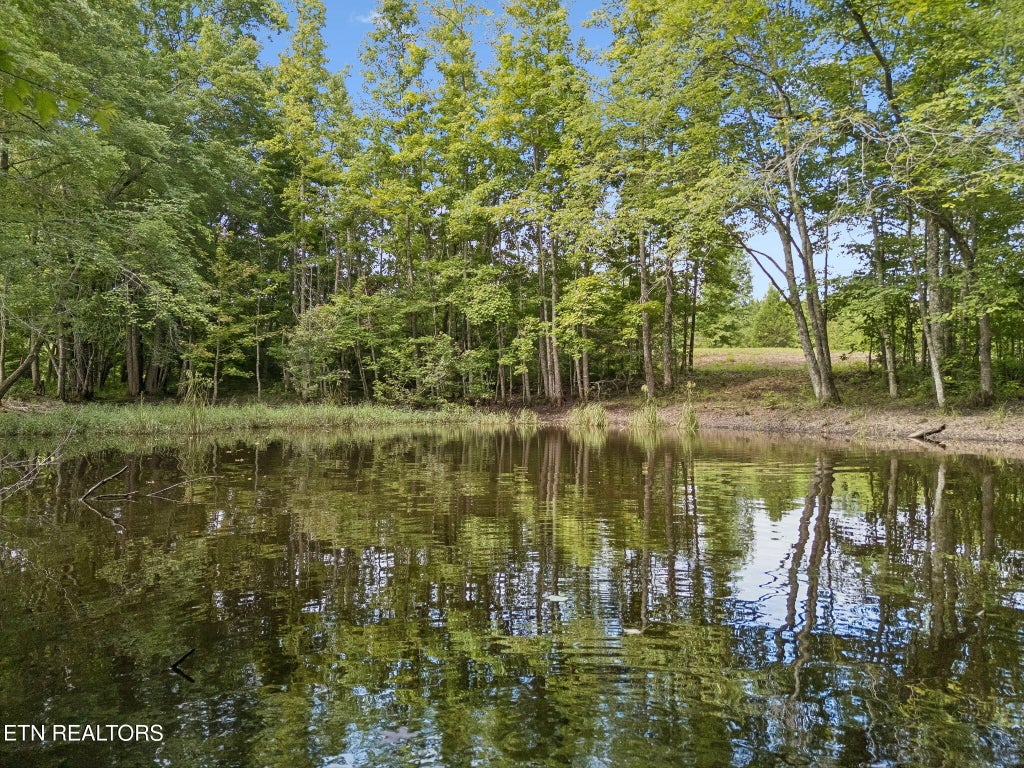 Photo of Sheep Ranch Rd, Robbins, TN 37852 (MLS # 1351667)