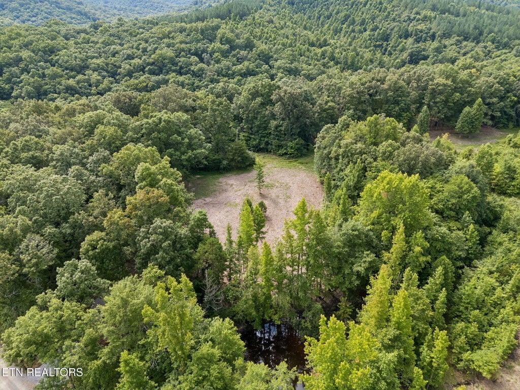 Photo of Sheep Ranch Rd, Robbins, TN 37852 (MLS # 1351667)