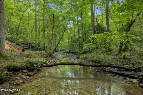 Photo of Sheep Ranch Rd, Robbins, TN 37852 (MLS # 1351667)