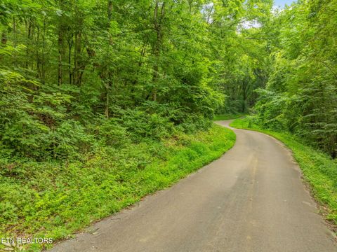 Tiny photo for Dunville Gap Rd, Rutledge, TN 37861 (MLS # 1332072)