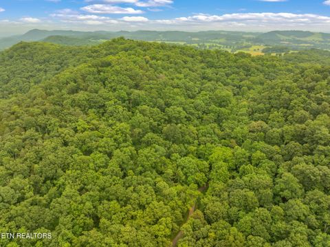 Tiny photo for Dunville Gap Rd, Rutledge, TN 37861 (MLS # 1332072)