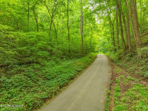Tiny photo for Dunville Gap Rd, Rutledge, TN 37861 (MLS # 1332072)