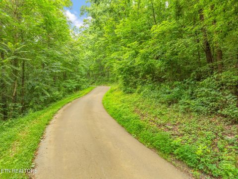 Tiny photo for Dunville Gap Rd, Rutledge, TN 37861 (MLS # 1332072)