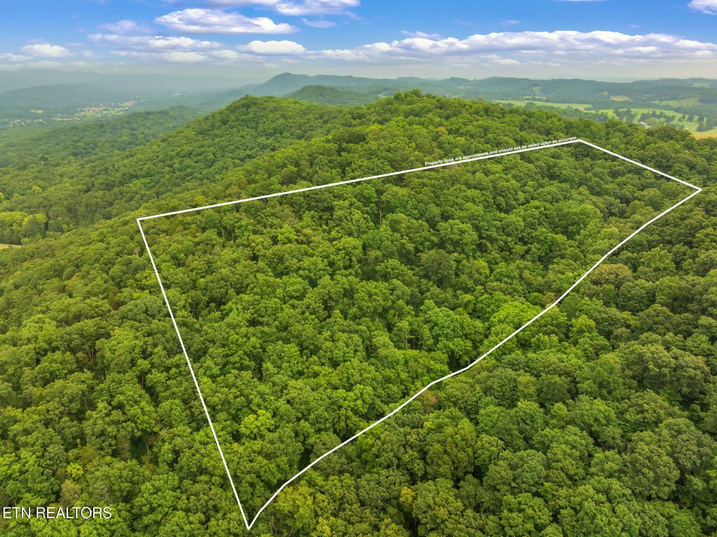 Photo of Dunville Gap Rd, Rutledge, TN 37861 (MLS # 1332072)
