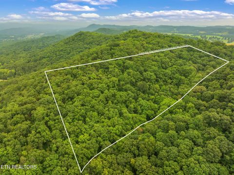 Photo of Dunville Gap Rd, Rutledge, TN 37861 (MLS # 1332072)