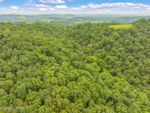 Tiny photo for Dunville Gap Rd, Rutledge, TN 37861 (MLS # 1332072)