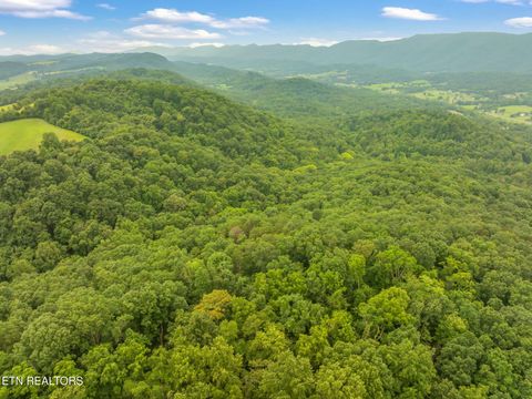 Tiny photo for Dunville Gap Rd, Rutledge, TN 37861 (MLS # 1332072)