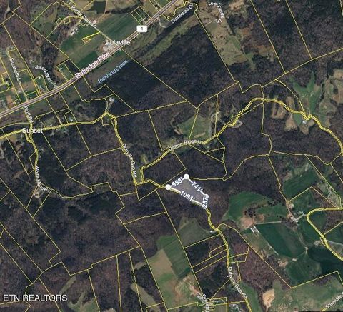 Tiny photo for Dunville Gap Rd, Rutledge, TN 37861 (MLS # 1332072)