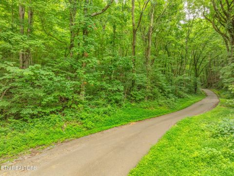 Tiny photo for Dunville Gap Rd, Rutledge, TN 37861 (MLS # 1332072)