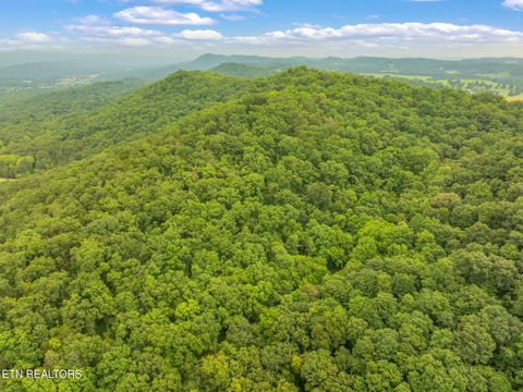 Tiny photo for Dunville Gap Rd, Rutledge, TN 37861 (MLS # 1332072)