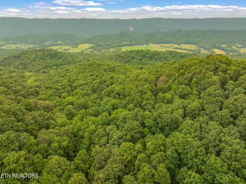 Tiny photo for Dunville Gap Rd, Rutledge, TN 37861 (MLS # 1332072)