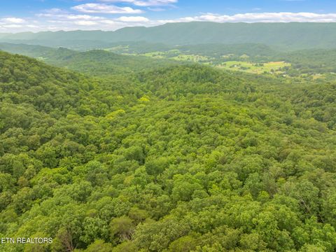 Tiny photo for Dunville Gap Rd, Rutledge, TN 37861 (MLS # 1332072)