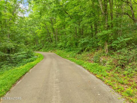 Tiny photo for Dunville Gap Rd, Rutledge, TN 37861 (MLS # 1332072)
