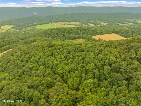 Tiny photo for Dunville Gap Rd, Rutledge, TN 37861 (MLS # 1332072)
