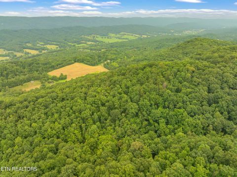 Tiny photo for Dunville Gap Rd, Rutledge, TN 37861 (MLS # 1332072)