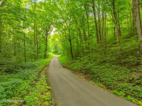 Tiny photo for Dunville Gap Rd, Rutledge, TN 37861 (MLS # 1332072)