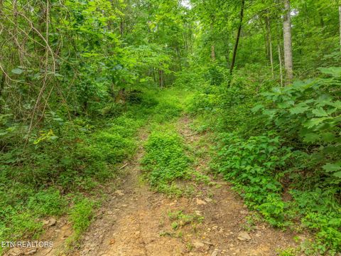 Tiny photo for Dunville Gap Rd, Rutledge, TN 37861 (MLS # 1332072)