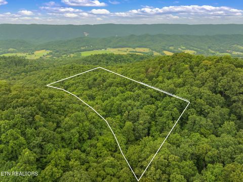 Tiny photo for Dunville Gap Rd, Rutledge, TN 37861 (MLS # 1332072)