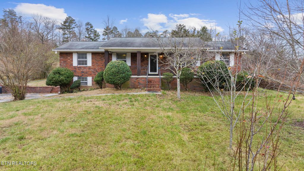 Photo of 9828 Smoky Row Rd, Strawberry Plains, TN 37871 (MLS # 1246815)