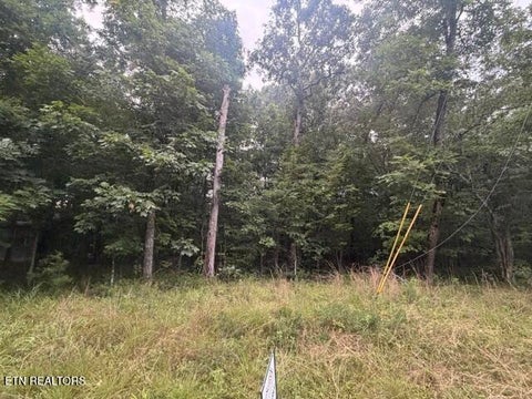 Photo of 3333 Warpath Drive, Crossville, TN 38572 (MLS # 1349661)