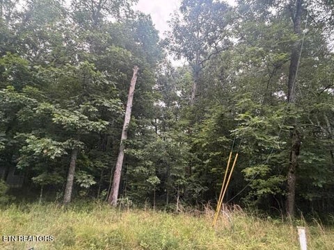 Tiny photo for 3333 Warpath Drive, Crossville, TN 38572 (MLS # 1349661)