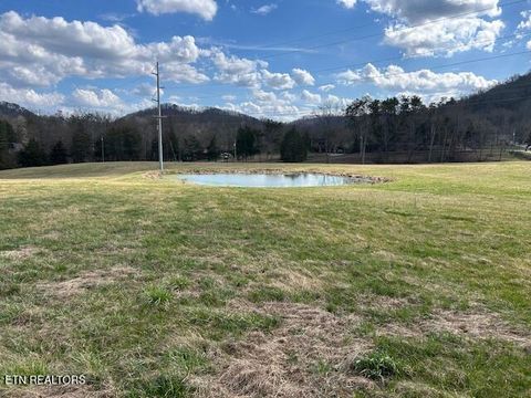 Tiny photo for 180 Ailor Gap Rd, Maynardville, TN 37807 (MLS # 1331793)